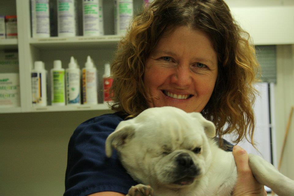 London Ontario Veterinary Clinic, Vet Clinic London- Caradoc Animal Clinic  :: Meet Our Staff London Ontario Veterinary Clinic, Vet Clinic London-  Caradoc Animal Clinic